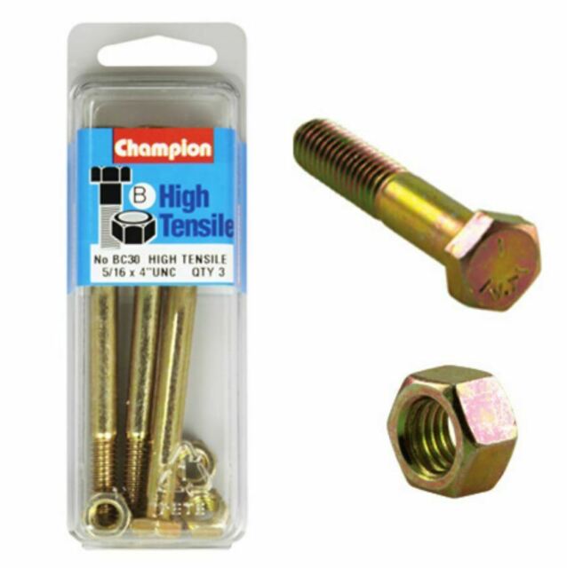 Champion Bolt and Nuts 4” x 5/16 BC30 Screws and Nuts Champion