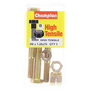 Champion Fully Threaded Set Screws and Nuts 8 x 75mm- BM65 Screws and Nuts Champion