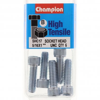 Champion Blister Screw Socket Head 5/16 x 1 -SHC17 Screws and Nuts Champion